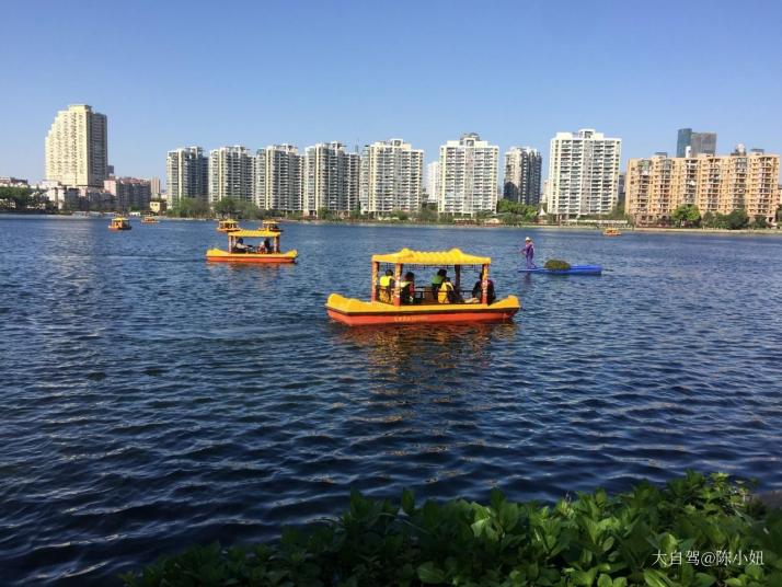 南京莫愁湖景区图片