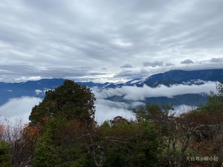 台湾阿里山森林公园