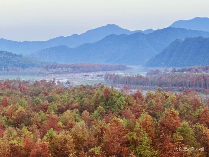 宣城宁国红杉林景区