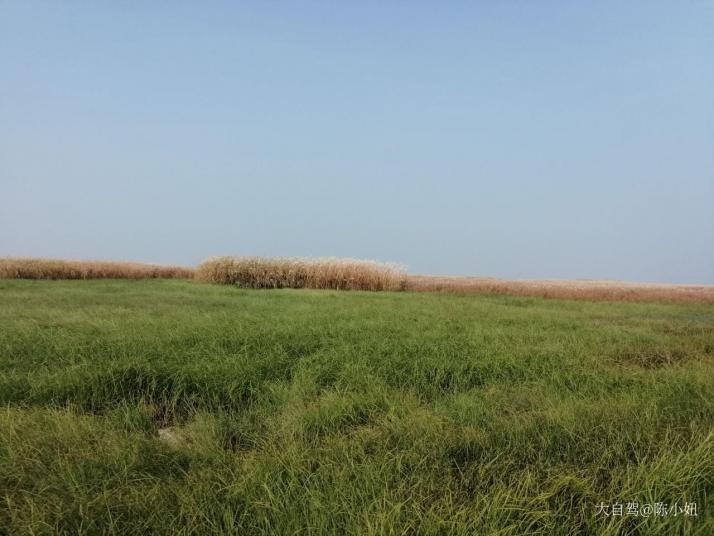 上饶鄱阳湖湿地公园