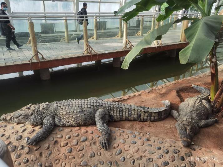 石家庄石家庄极地海洋世界