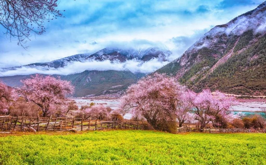 武汉出发西藏20日自驾游：金川梨花-林芝桃花-川藏南北线穿越20日自驾