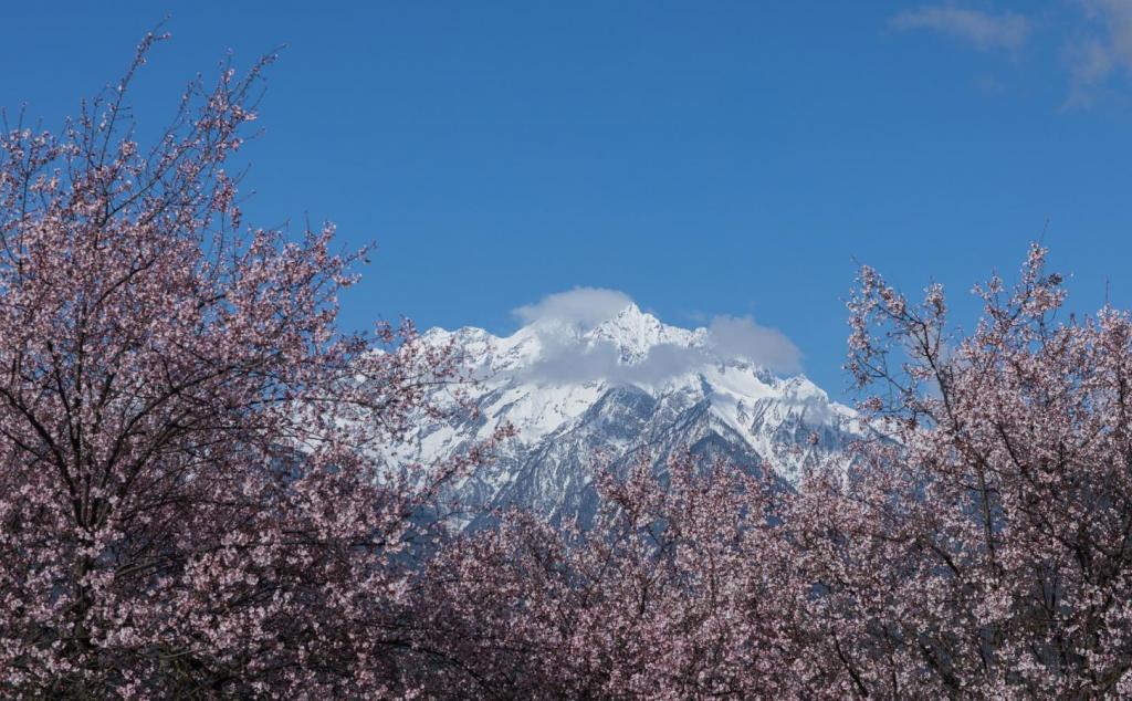 成都出发西藏11日半自由行：甲居藏寨-新都桥-稻城亚丁-梅里雪山- 林芝-圣城拉萨11天半自由行