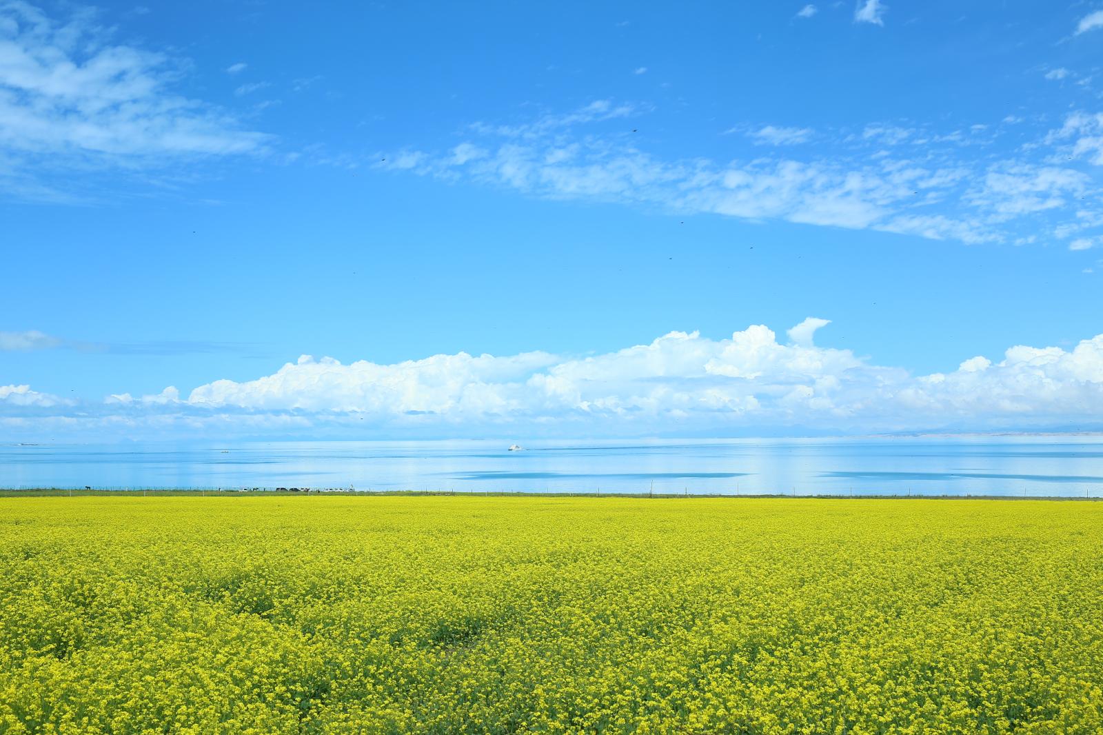 暑期自驾——青海湖小环线8天自驾游