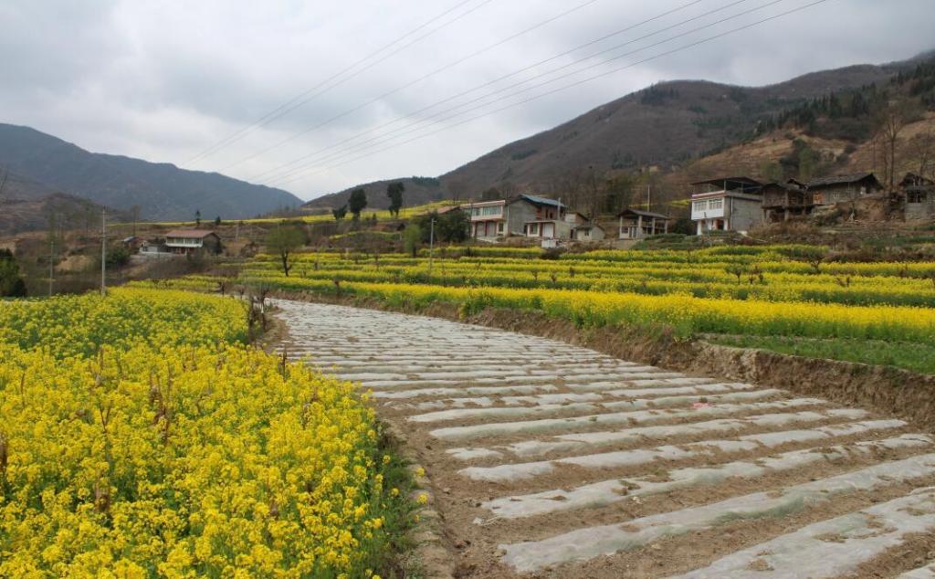 绵阳自驾游路线推荐_攻略