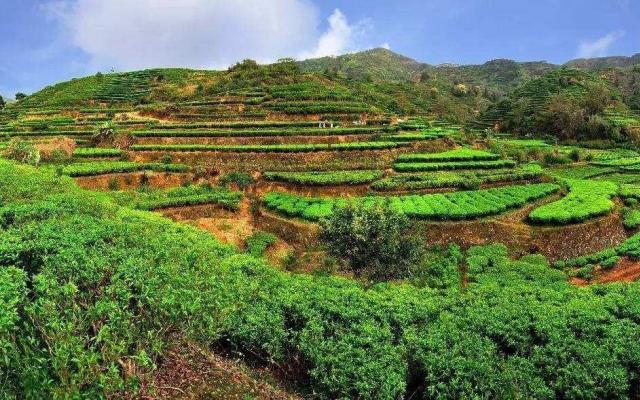 厦门出发广东梅州4日自驾游：大埔泰安楼-五华热矿泥-雁南飞-客天下4日游