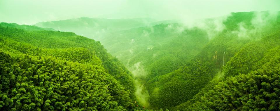 北京出发湖北四川12日自驾：三峡大坝-蜀南竹海-嘉阳小火车12日川东南自驾游