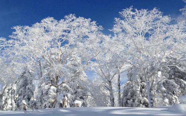 北京出发东北雪乡7日自驾游：中国最美雪乡、查干湖冬捕、虎峰岭雾淞、雪乡温泉