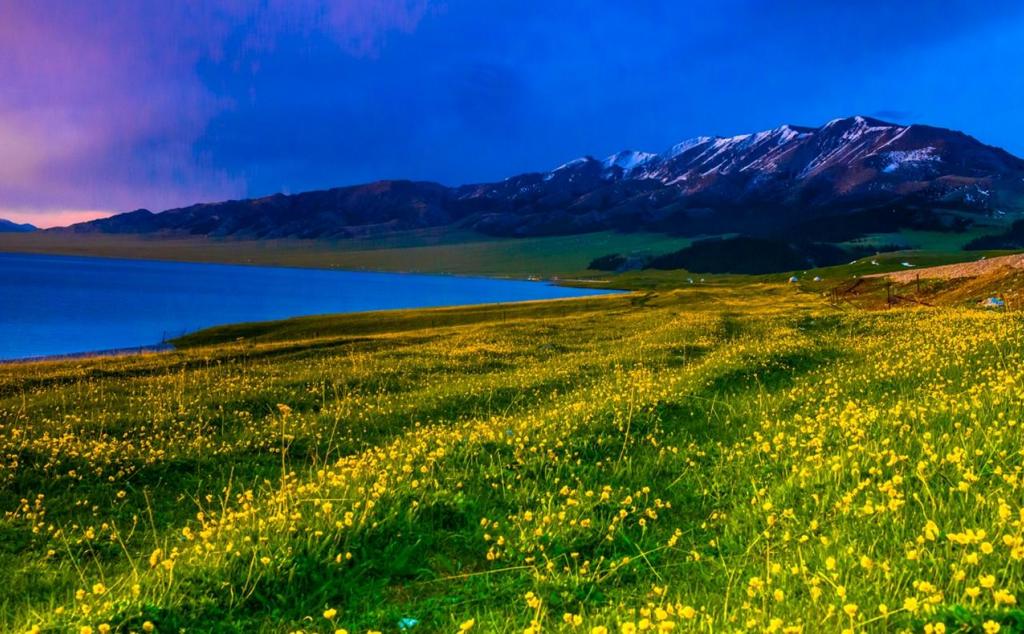 乌鲁木齐集合新疆8日落地自驾游：赛里木湖-喀拉峻大草原-巴音布鲁克8日自驾游