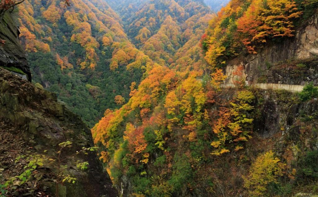 兰州集合青海张掖9日自驾游：水上雅丹-金塔胡杨林-莫高窟-嘉峪关-青海湖-七彩丹霞