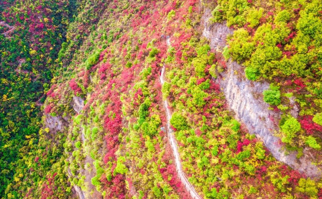 长沙出发重庆宜昌4日自驾游：宜昌三峡大坝-巫山小三峡-神女天路红叶4日自驾游