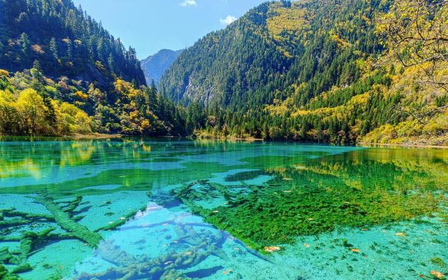 重庆出发川北阿坝4日自驾游：【冬游九寨】九寨沟•冰瀑轻徒步•白马古寨4日自驾