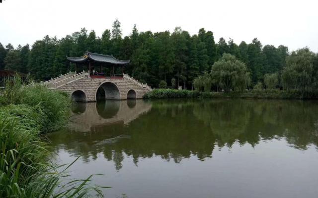 北京出发山东5日自驾游：李中水上森林-丹顶鹤湿地-竹泉村5日自驾游