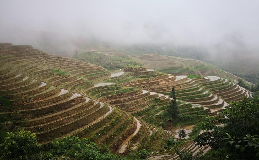 广东出发五一广西三江龙脊4日自驾游：三江程阳风雨桥-侗寨-龙脊梯田4日自驾游