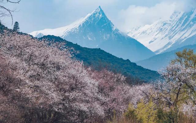 西藏林芝桃花节16日自驾游：【藏地花开】成都-川藏线318-秘境墨脱-拉萨-青藏线16日自驾游