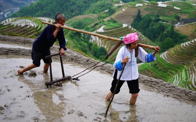 广东珠三角出发广西3日自驾游：桂林龙脊梯田梳秧节少数民族风情-阳朔西街-世外桃源3日自驾游